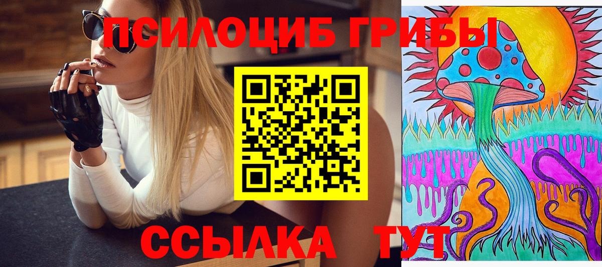 Гурьевск  Галлюциногенные грибы MAGIC MUSHROOMS  Вход с VPN 
